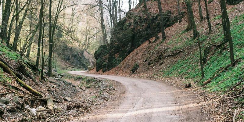 从光学奇迹到智能影像：镜头技术演进与选购全指南
