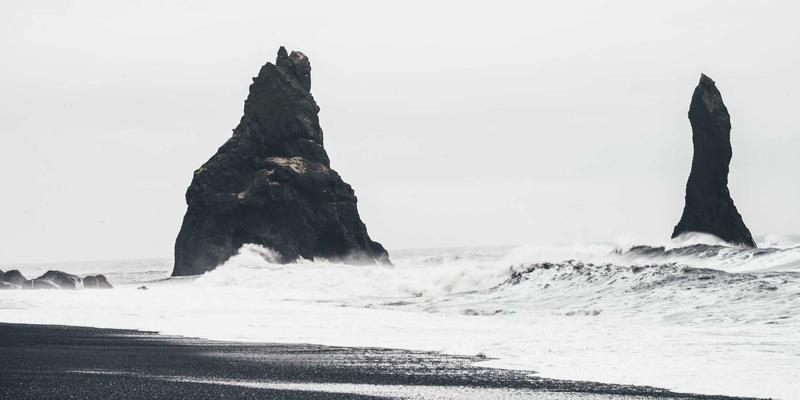 微距摄影实战指南：如何选择相机镜头与设置参数，完美捕捉昆虫与花卉的微观世界