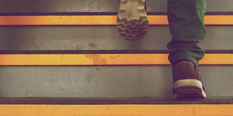 微距镜头放大倍率与工作距离详解：如何根据拍摄对象选择最佳微距装备 | Lens Comparisons & Photography Equipment Guide