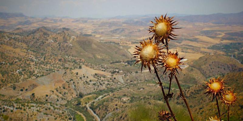 相机镜头全解析：从选购到对比，打造你的摄影装备库