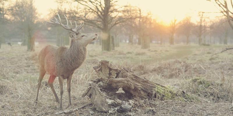 相机镜头完全指南：从新手到精通的摄影装备使用手册