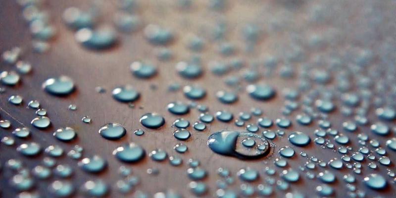 相机镜头终极指南：从基础知识到专业选择