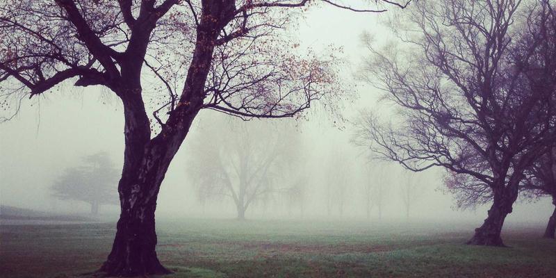 相机镜头终极指南:从基础认知到实战选镜