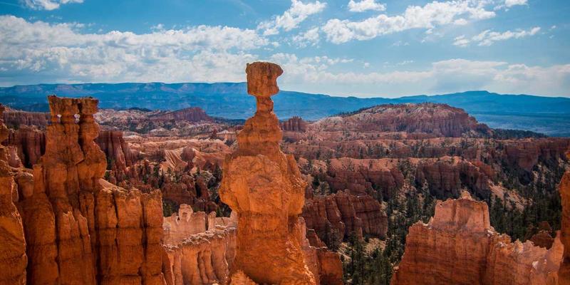 超广角镜头边缘畸变控制与构图技巧：从风光到室内摄影的实战应用指南