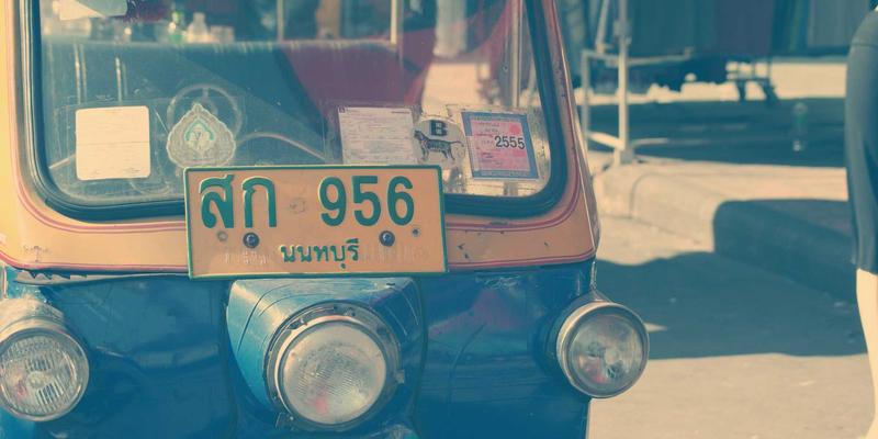 超长焦定焦镜头生态摄影实战指南：捕捉野生动物的核心技巧与器材选择