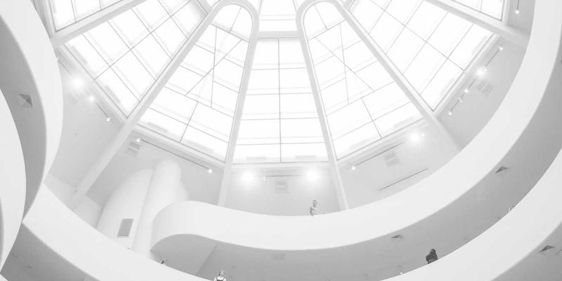 超长焦镜头生态摄影实战：鸟类与野生动物拍摄全攻略 | 镜头选择与设备对比