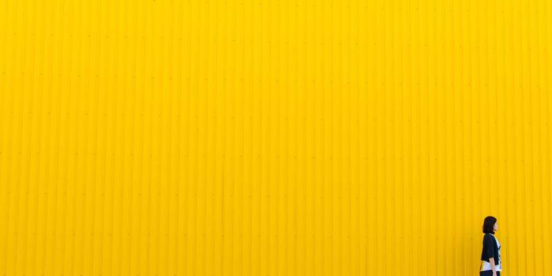 镜头对比全指南：如何为你的摄影装备选择最佳相机镜头