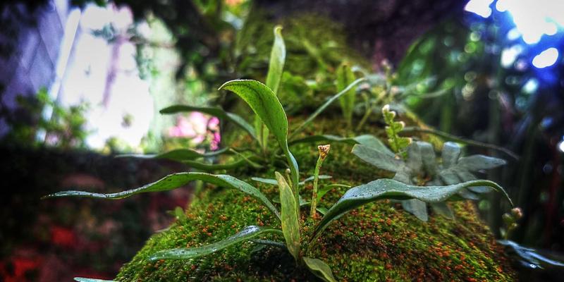 镜头抉择指南:如何挑选最适合你的相机镜头,从入门到精通