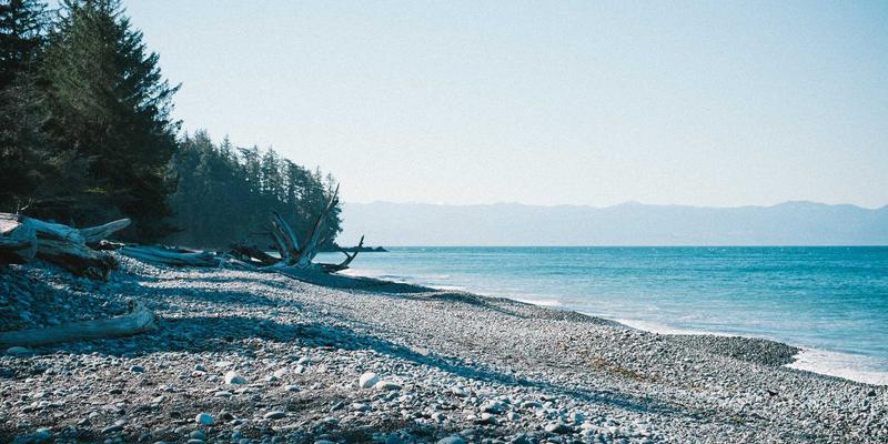 镜头终极对比指南：如何根据摄影需求选择理想镜头