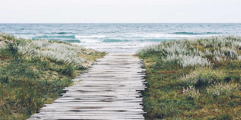 镜头背后的世界:24mm焦段镜头终极指南与摄影装备解析