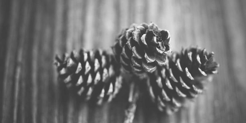 镜头选购终极指南：深度评测、横向对比与器材进阶策略